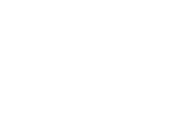 Wolfshöher Tonwerke Logo